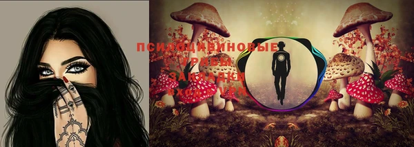 не бодяженный Алексин